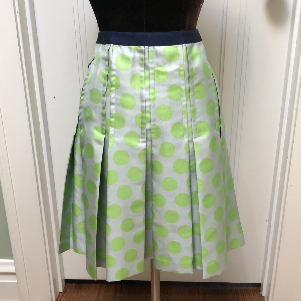 Vera Wang Lavender Label Pleated Skirt 10